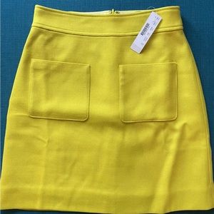 J.Crew skirt 100 % wool